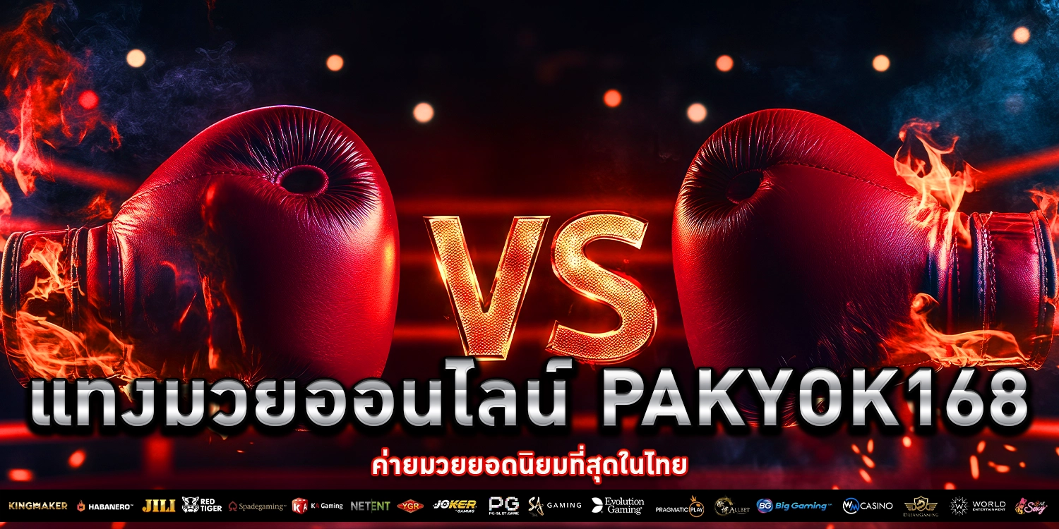 แทงมวยออนไลน์ - Pakyok168