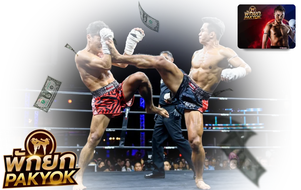 มวยพักยก Tiger