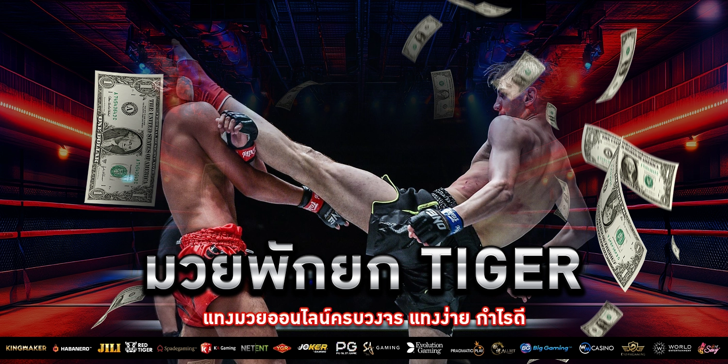 มวยพักยก Tiger